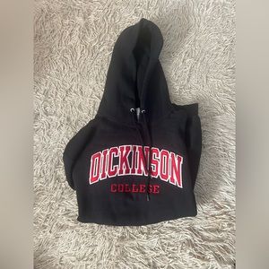 Dickinson College hoodie size L